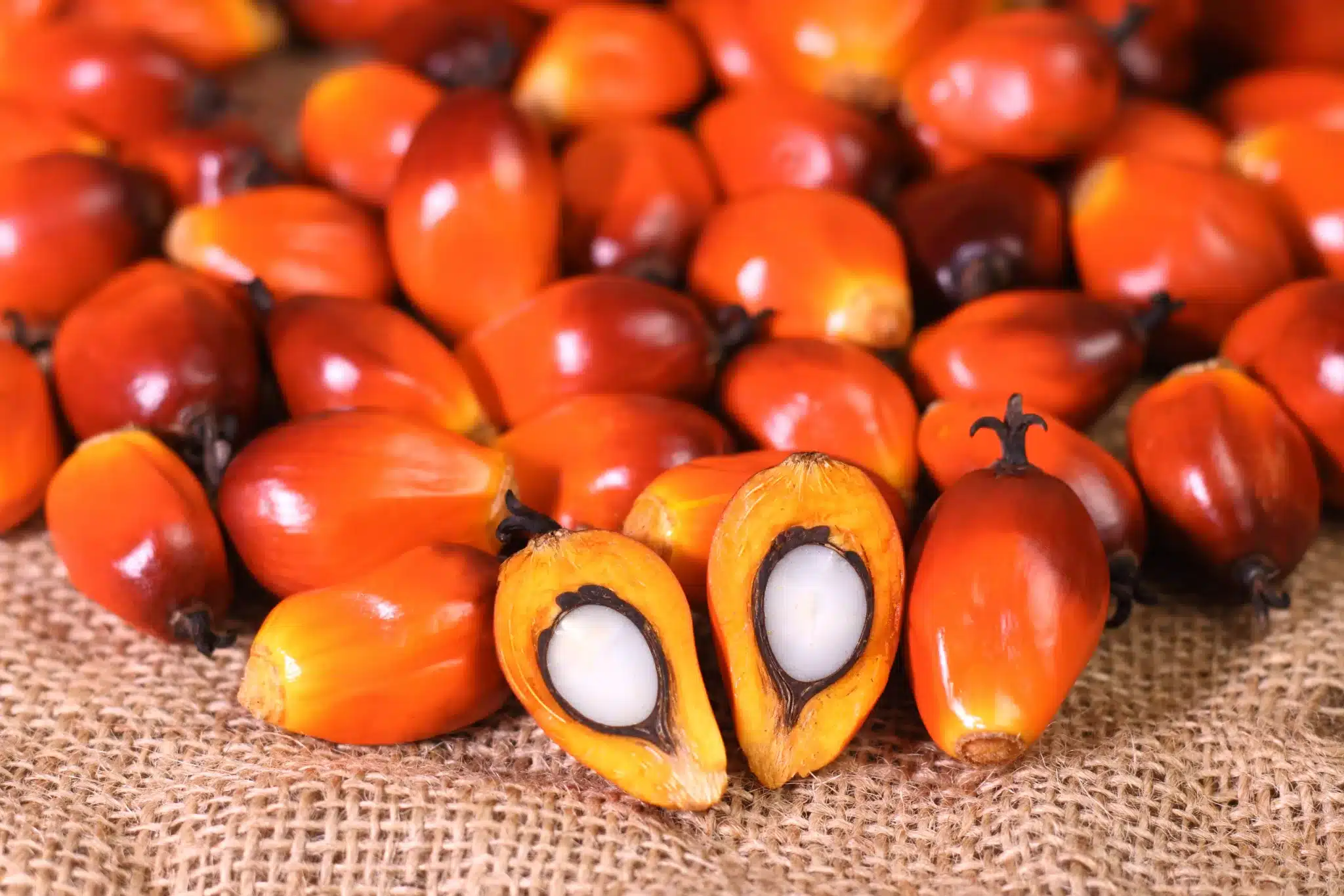 Palmnuts - Image 2