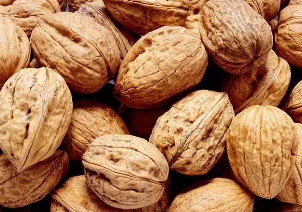 Walnuts-1