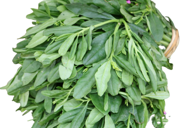 Waterleaves - Image 3