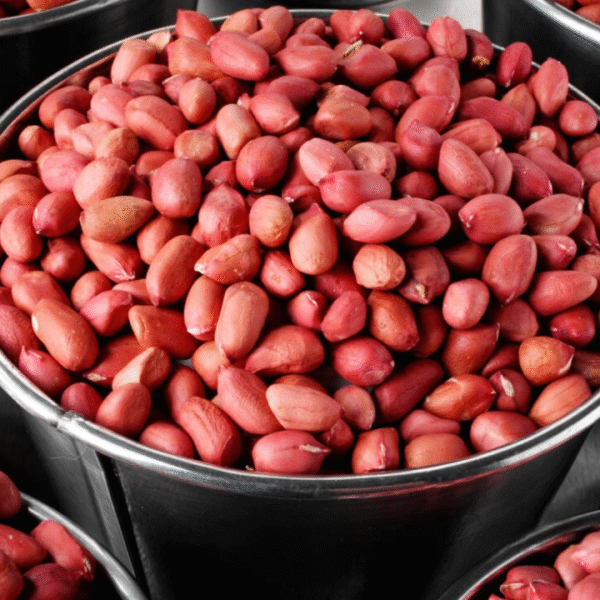 groundnut