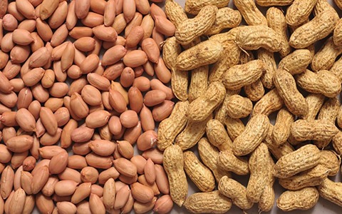 Groundnuts - Image 4