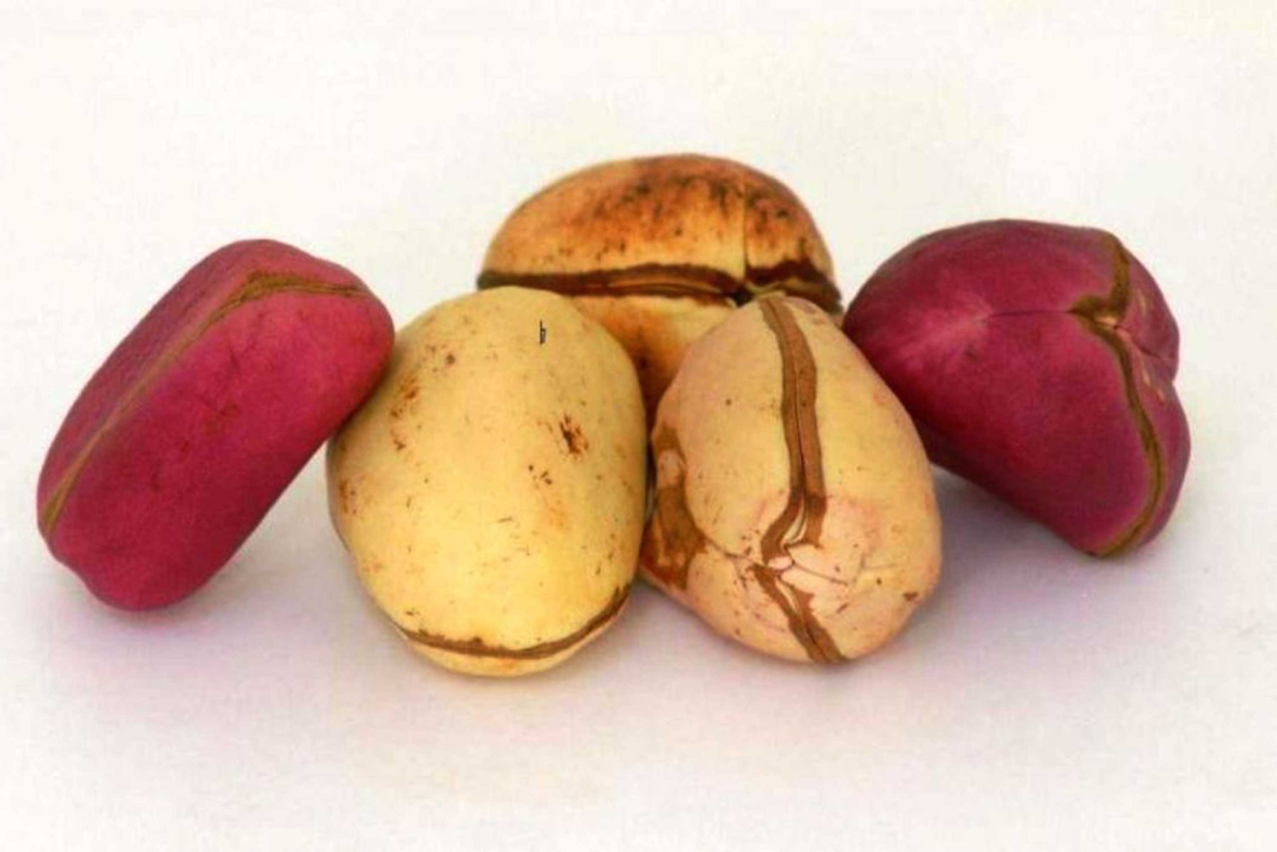 Kolanuts - Image 2