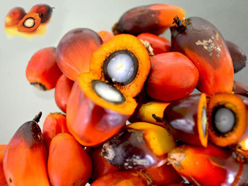 Palmnuts