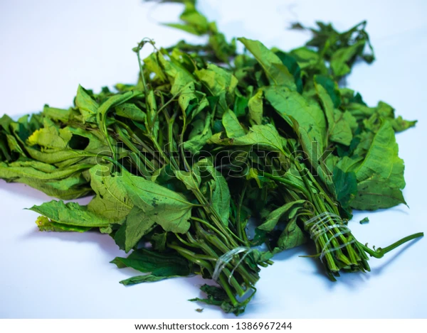 Ugwu leaves - Image 4