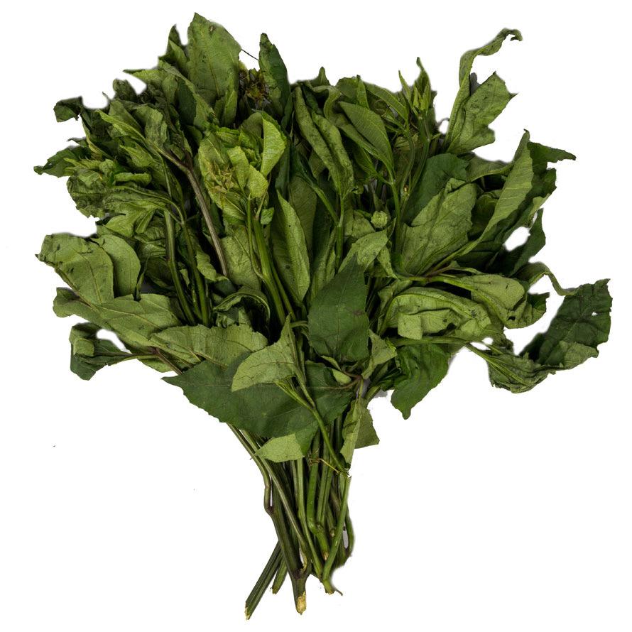 Ugwu leaves - Image 8